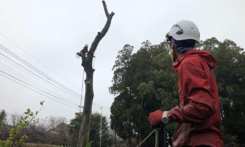 身次邸　北区植木町_200302_0022